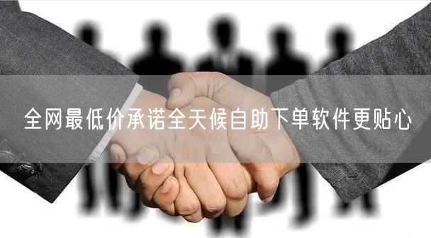 全网最低价承诺全天候自助下单软件更贴心