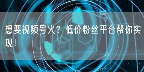 想要视频号火？低价粉丝平台帮你实现！
